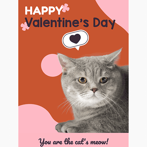 You're the Cat's Meow Valentine's Day eCard